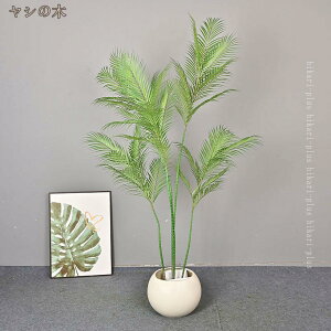 tFCNO[ϗtA lHϗtA ϗt  CeA bȂ sṽz[ CeAO[ A   ItBX   茺 Lb` v[gp