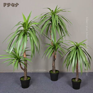 ϗtA tFCNO[ lHϗtA  CeA  O tFCNA lH sv ͂Ȃ ~͐A Q쏜sv p  OΉ  oRj[ x_ eX