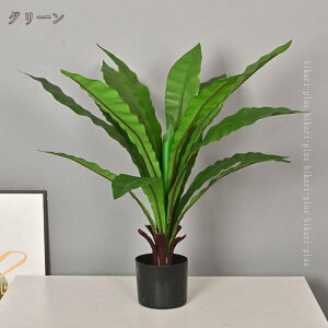 lHϗtA tFCNO[  CeA ~ ^ tFCNc[O|[` K[f z[[h ItBXp 썑 ][g a   ƒ 悯oRj[  