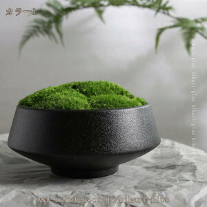 lH tFCNX tFCNO[  Lb` ItBX lHϗtA WI}  ۃeE CgO[ A 뉀 AȌ DIY Be p z[ 뉀 rO