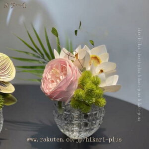 V A[gt[ tFCNO[ ԃAWg CeA q rO _CjO ze r[  _ a ؂₩ ԕrAW  Tv[ u f