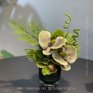 V A[gt[ tFCNO[ ԃAWg CeA q rO _CjO ze r[  _ a ؂₩ ԕrAW  Tv[ u f