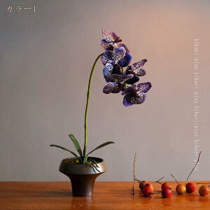 V tFCNt[  a_  e[ũZ^[s[X _CjO Lb` rO[ ԕrt X ItBX Ԕ sv ϑސF ό 