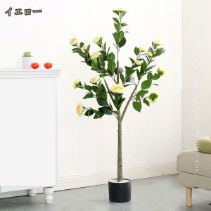 ւ̉  ϗtA tFCNO[ lHϗtA ^  A  v[g CeA p Bep  Rȕ͋C A A ItBX 뉀  O  