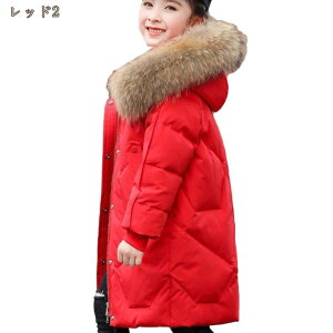 LbY _ER[g ̎q AE^[ qR[g H~ g  _E _EWPbg LbY 120 130 140 150 160 WjA j̎q ؍q h q  _ER[g ۉ ʊw 