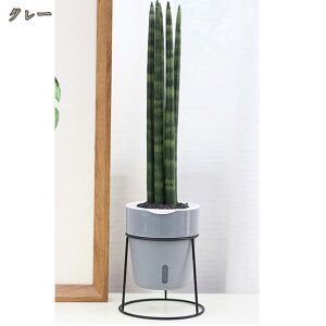 �|�b�g �X�^���h �t�����[�X�^���h ���t�� �ϗt�A�� �A�C�A�� �X�`�[�� ���u�� ���J�o�[ �v�����^�[�X�^���h �A�ؔ��X�^���h �t�����[ ���b�N �� �ԑ� �A���I ������� �k�� �� �K�[�f�j���O