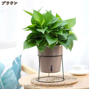 �{�[���v�����^�[�X�^���h �u���b�N�K�[�f�j���O�p�i �K�[�f�j���O ���| ���A�� �͔| �� �x�����_ �ƒ� �A�� �� �ӏ� �ԑ� �V���v�� ������� �y�� �v���X�`�b�N �� �� �� �x�����_ �I ����I