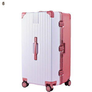 L[P[X 360x] A~ e @ _uLX^[ TSAbN  @ Cw gx X[cP[X ^ ϏՌ y CO h s o L[ob