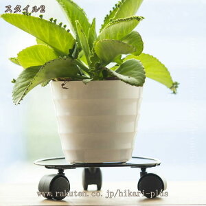 500�~OFF�N�[�|�� �v�����^�[�X�^���h �ԑ� ���� ���O �A�ؔ� �� �|�b�g �X�^���h �t�����[�X�^���h �|�� ���b�N �i�`������ �|�b�g�X�^���h �u���� ���|���b�N ������� �����G�� �~�A�� �~�u