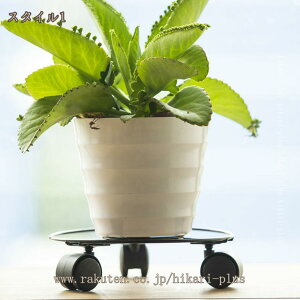 v^[X^h ԑ  O Aؔ  |bg X^h t[X^h | bN i` |bgX^h u |bN  G ~A ~u  