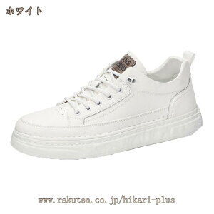 RtH[gV[Y X Xj[J[ Y EI[LOV[Y ̓ hV̓ ₷ ɂ jp ʋ ʊw [Jbg [XAbvV[Y n rWlXV[Y XP