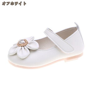 LbY V[Y ̎q tH[}C ̎q qC tH[}V[Y sAm\ hXV[Y WjA ؂ p[ Zj[V[Y oGV[Y \ hikari-plus