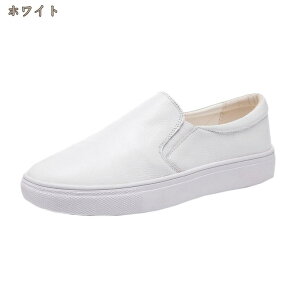 jOV[Y Xj[J[ fB[X  y EH[LOV[Y ^C ~ X|[cV[Y ʋC ʋ ʊw Xj[J[ EFbW\[ ꃍ[t@[ Xb|