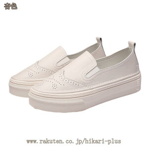 jOV[Y Xj[J[ fB[X  y EH[LOV[Y ^C ~ X|[cV[Y ʋC ʋ ʊw Xj[J[ EFbW\[ ꃍ[t@[ Xb|