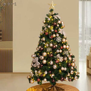 F NX}Xc[ ^ I[ig  }t {[ƂĂǂ} Xܗp  X  ƒp rO X NX}X͋C christmas tree lHϗtA gi hikar