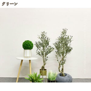 tFCNO[ ^ lHϗtA  L R { A  CeA lH A 傫 ze rO j JXj I[u̖ Ղ 蕨 v