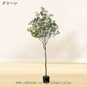 lH lHϗtA  K̖ tFCNO[ CeA ^ Vzj JXj [J L  rO A      傫 킢 S A 