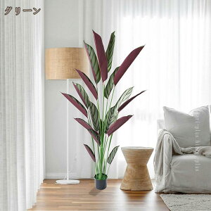 l tFCNO[ lHϗtA NYC S ȒP { ygȂϗtA sv Q̐SzȂ A  CeAO[ ^ a  