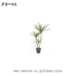 lH lHϗtA  K̖ tFCNO[ CeA ^ Vzj JXj hZi L  rO A      傫 킢 S A 