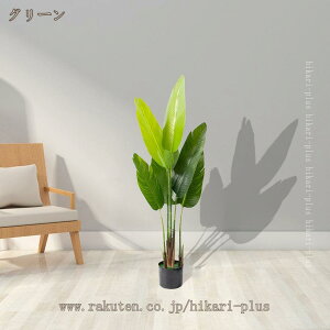 l tFCNO[ lHϗtA l S ȒP { ygȂϗtA sv Q̐SzȂ A  CeAO[ ^ a  