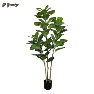 tFCNO[ ϗtA Ex[^ hJr L  rO lHϗtA ^ A  CeAO[ A  j 傫 A    t s