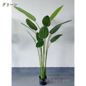 Ɋy tFCNO[ A lHϗtA tFCN A  CeA   Vzj JXj JƏj ^ 傫TCY Ύ ϗt ~͐A tFCNϗtA 