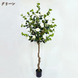 lHϗtA { ^ 傫 Ă₷   A j j K̖ RԂ̖ CeA ϗA bsv sv Q̐SzȂ Mtg v[