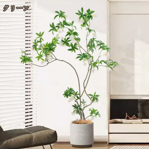 lHϗtA { ^ 傫 Ă₷   A j j K̖ xW~ CeA ϗA bsv sv Q̐SzȂ Mtg v[