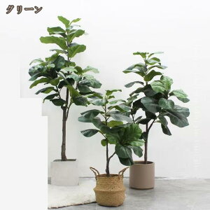 Ex[^ tFCNO[ A lHϗtA tFCN A  CeA   Vzj JXj JƏj ^ 傫TCY Ύ ϗt ~͐A tFCNϗt