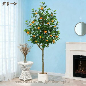 lHϗtA ~J̖ Ύ  A   CeA ^ ^  LO ɋ  x_ K[f DIY Mtg v[gĂ₷ j JXj JƏj Vz