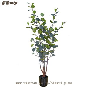 ^tFCNO[   sv QSzȂ rO   O lHϗtA  A A lH ȒP L R 傫 { Vzj