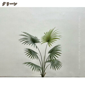 tFCNO[ ϗtA V̖ hJr L  rO lHϗtA ^ A  CeAO[ A  j 傫 A    t sv 