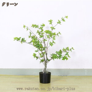 ^tFCNO[ hE_ccW  sv QSzȂ rO   O lHϗtA  A A lH ȒP L R 傫 { V