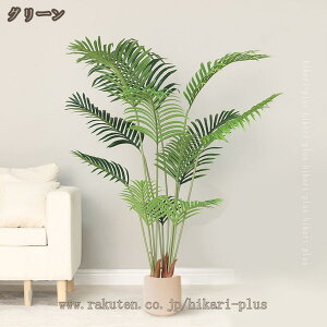 ^ ϗtA tFCNO[ A AJV  ϗt   CeAO[ ~͐A Vv a m ItBX  ܂ lHϗA A A tFCNA