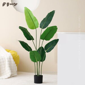 ^ ϗtA tFCNO[ A Ɋy  ϗt   CeAO[ ~͐A Vv a m ItBX  ܂ lHϗA A A tFCNA 