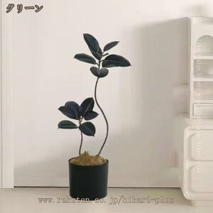 ^ ϗtA tFCNO[ A S̖  ϗt   CeAO[ ~͐A Vv a m ItBX  ܂ lHϗA A A tFCNA 