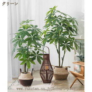  ^ tFCNO[ lHA lHϗtA ɒuA pL  sv CeA  J^ ϗA lH ϗt sv  j j JX 