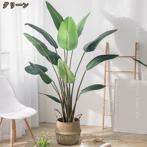 tFCNO[ Xg`A lH ϗtA Vzj̑  CeAO[ sv Q̐SzȂ Mtg v[g  J^  ^ lHA ɒuA 