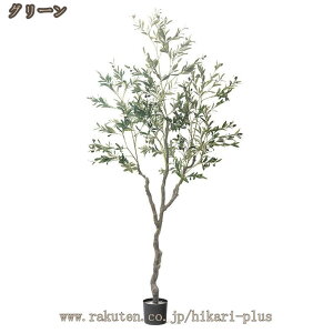 lHϗtA I[u̖ tFCNO[  sv CeA  O tFCNA ϗt sv ͂Ȃ ~͐A a z[ x_ p Bep lHA 