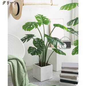  ^ tFCNO[ lHA lHϗtA ɒuA Xe  sv CeA  J^ ϗA lH ϗt sv  j j J