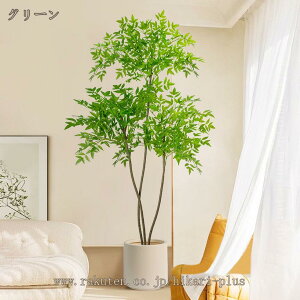 tFCNO[ | ou[ lH ϗtA Vzj̑  CeAO[ sv Q̐SzȂ Mtg v[g  J^  ^ lHA ɒuA I