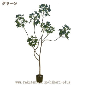 VFt lHϗtA tFCNO[ lH   ϗt sv ͂Ȃ L R  ^ 傫  A { A Ύ  X c ItBX