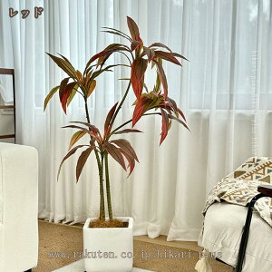 ϗtA hZi tFCNO[ lHϗtA ^    傳 ϗt ze CeA A p j    ƒp ϗA  Ύ sv 