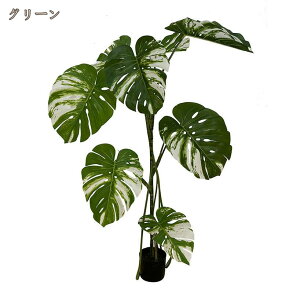 Xe lHϗtA tFCNO[ lH   ϗt sv ͂Ȃ L R  ^ 傫  A { A Ύ  X c ItBX