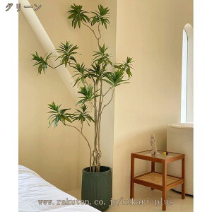 tFCNO[ ^  a K̖ ϗt CeAO[ ϗtA lHϗtA  lH  A[gO[ CeA ֐ x_  Mtg i Vzj