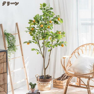 ~ lH A ̖ tFCNO[ Ύ A v[g Mtg z[fR[V     x_ sv ͂Ȃ QȂ lHϗtA 