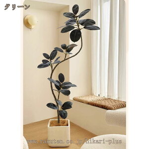 tFCNO[ ^  ϗtA  S ȒP  J^ rO lHϗtA S̖ sv A CeA  j i` ze [ JX 