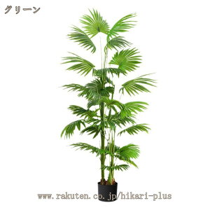  K̖ lHϗtA A[gO[ L R ȒP CeAO[ JXj JƏj A ^ 傫 A V̖  J^   Ղ 蕨 V