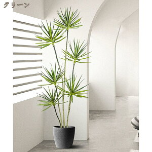 lHϗtA sv i 񂽂ݒu tFCNO[  p ygȂϗtA u ϗtA 㗖  sv CeA j a Ԃ 