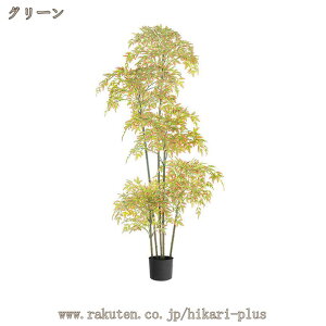  K̖ lHϗtA A[gO[ L R ȒP CeAO[ JXj JƏj A ^ 傫 A | ou[  J^   Ղ 蕨 